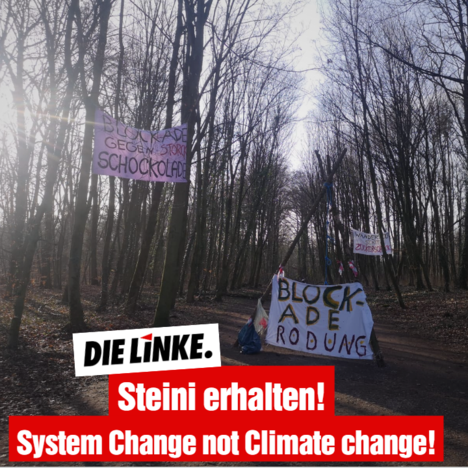 Steini-bleibt-2021.png